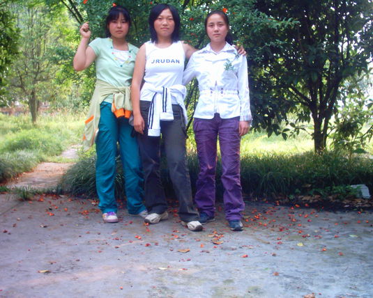 2006  (53)